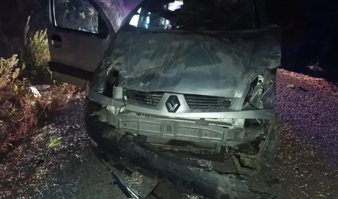 Gazipaşa Küçüklü Mahallesi Balcı Mevkiinde hafif ticari aracın yoldan çıkıp