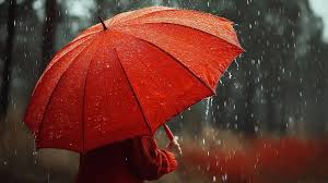 Meteoroloji Genel Müdürlüğü tarafından yapılan tahmine göre, bu gece saatlerinden