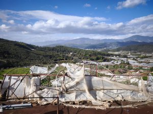 CHP Antalya Milletvekili Aliye Coşar, Antalya’nın Gazipaşa, Manavgat, Serik, Aksu,