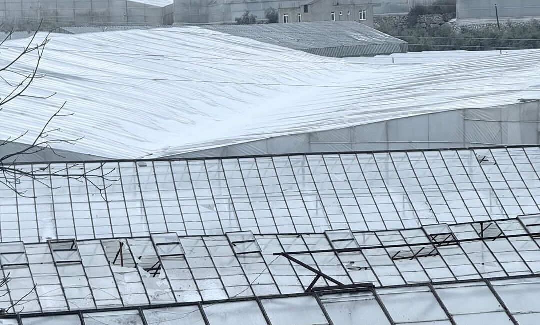 Dün gece ilçemizde meydana gelen dolu yağışı, tarım sektöründe ciddi