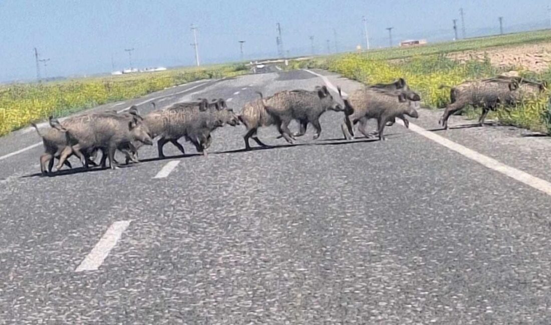 Beyobası Mahallesi’nde bir vatandaşın cep telefonu kamerasına yansıyan görüntülerde, yaklaşık
