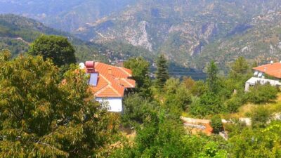 Alanya'da uzun yıllardır eczacılık yapan iki çocuk babası M., iddiaya