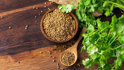 Her Hafta Bir Bitki!