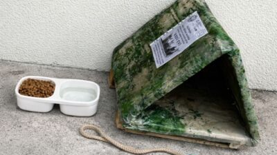 Gazipaşa Halk Eğitim Merkezi’nde görevli memur Şeyda Demiryürek, çevre bilinci