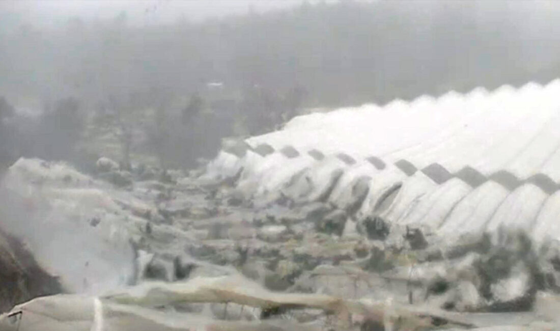 Antalya'nın Manavgat ilçesinde hortumun neden olduğu zarar, gün ağardığında ortaya