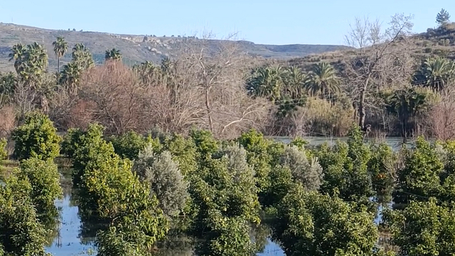 Antalya’da etkili olan şiddetli yağışların ardından Oymapınar ve Manavgat barajlarından