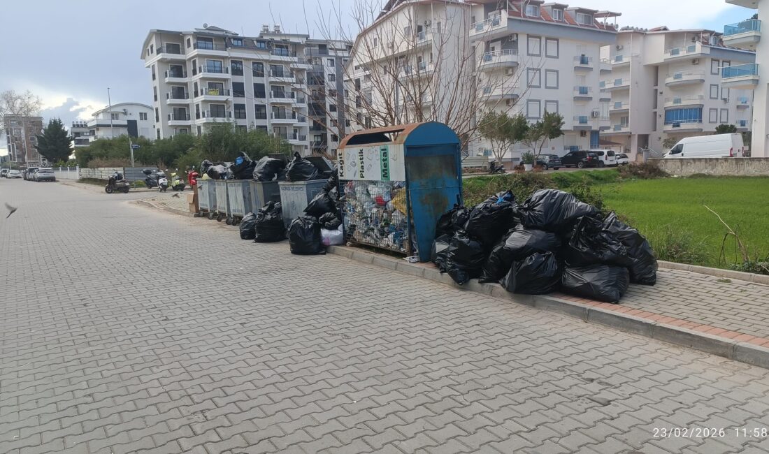 Günlerden Pazartesi. Yer Pazarcı Mahallesi, Uğur Mumcu Caddesi'nde bulunan öğrenci