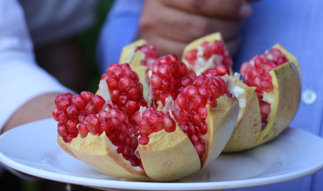 Gazipaşa’nın tarımsal değerleri arasında önemli bir yere sahip olan ve