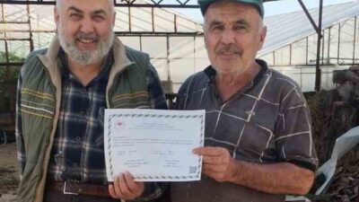 Antalya’nın Gazipaşa ilçesinde örtü altı tarımsal üretimde gıda güvenliğini artırmak