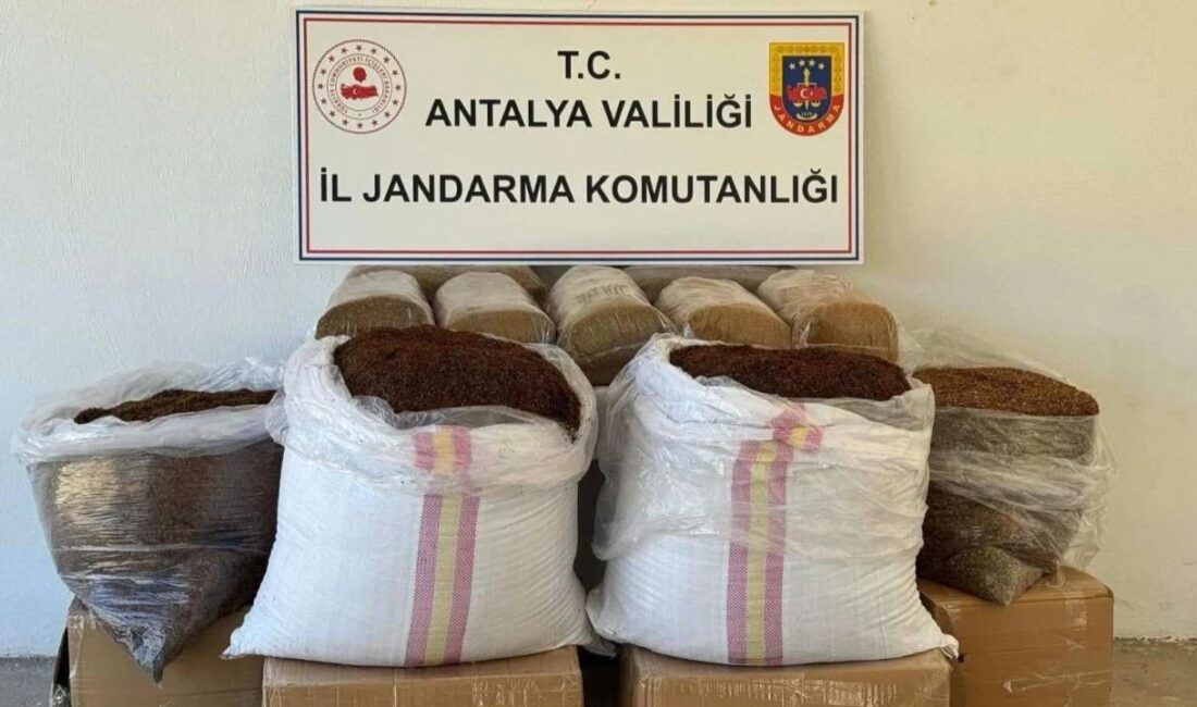 Gazipaşa ilçesinde jandarma ekiplerince düzenlenen operasyonda 500 kilogram kaçak tütün