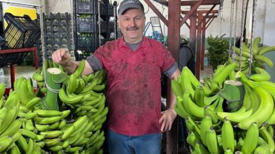 ESRA ÖZDEMİR ( ÖZEL HABER ) Türkiye’nin örtü altı üretiminde